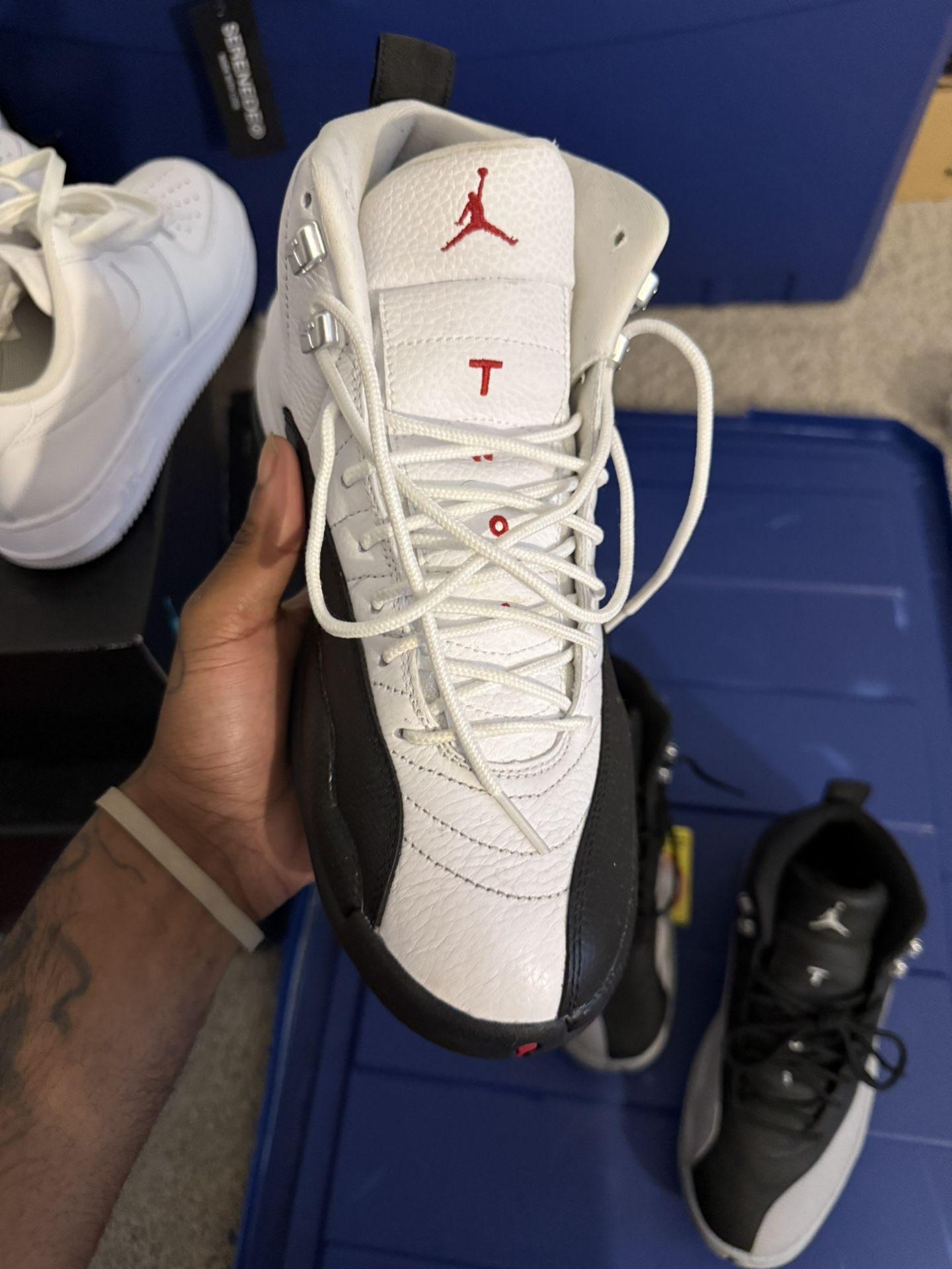 Jordan 12 Reverse Taxis