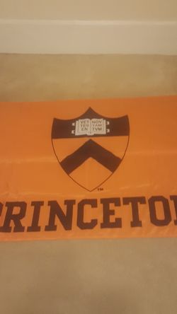 Princeton university team flag 3x5
