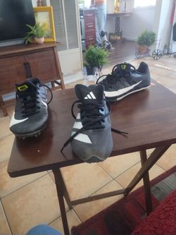 Track shoes