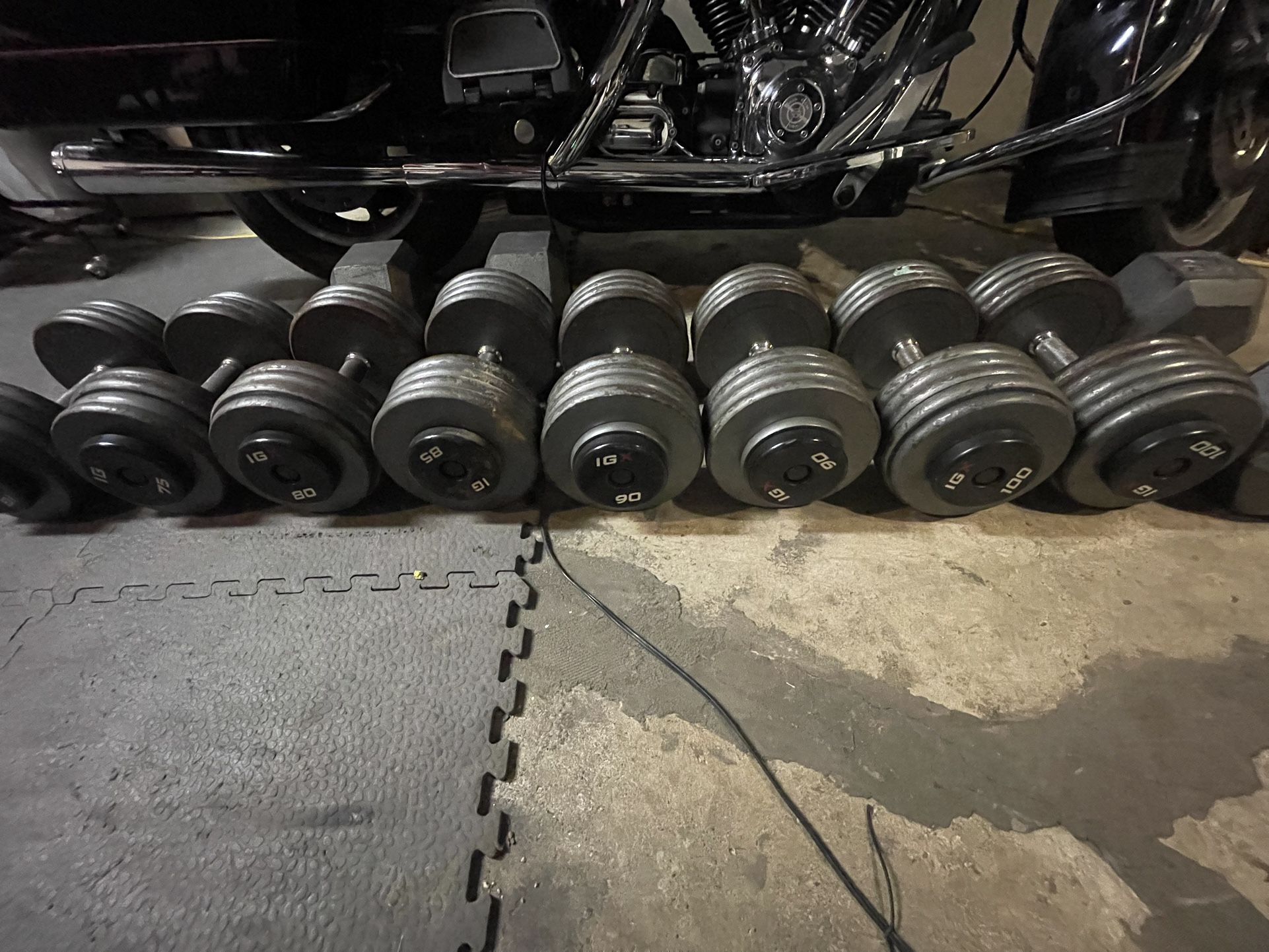 Dumbbells Pro Style