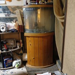 40 Gallon Bowed Front Fishyank With Wood Stand