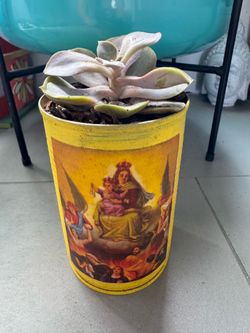 One of a kind Religious Themed Potted Succulent perfect for altar or shrine