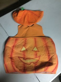Pumpkin costume
