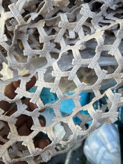 Natural Dry Coral Skeleton textile fabric