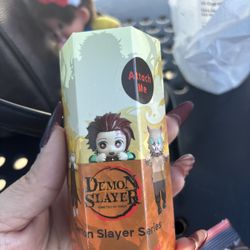 Demon Slayer Hippers