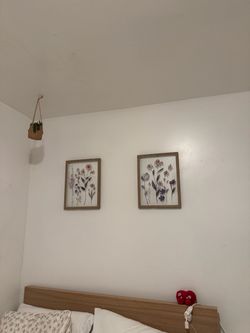 Flower frames