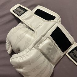 Cheerwing Grappling Gloves 