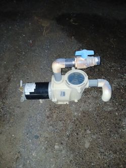 Pool pump & motor