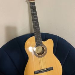 Acoustic Guitar 