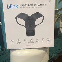 Blink Wired Floodlight Camera
