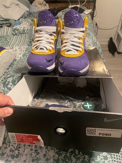LeBron 8