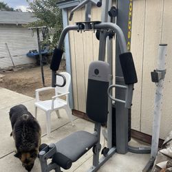 Golds Gym Workout Bench 