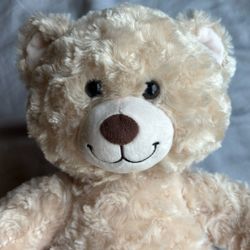 White Build A Bear Teddy. (basically In New Condition)