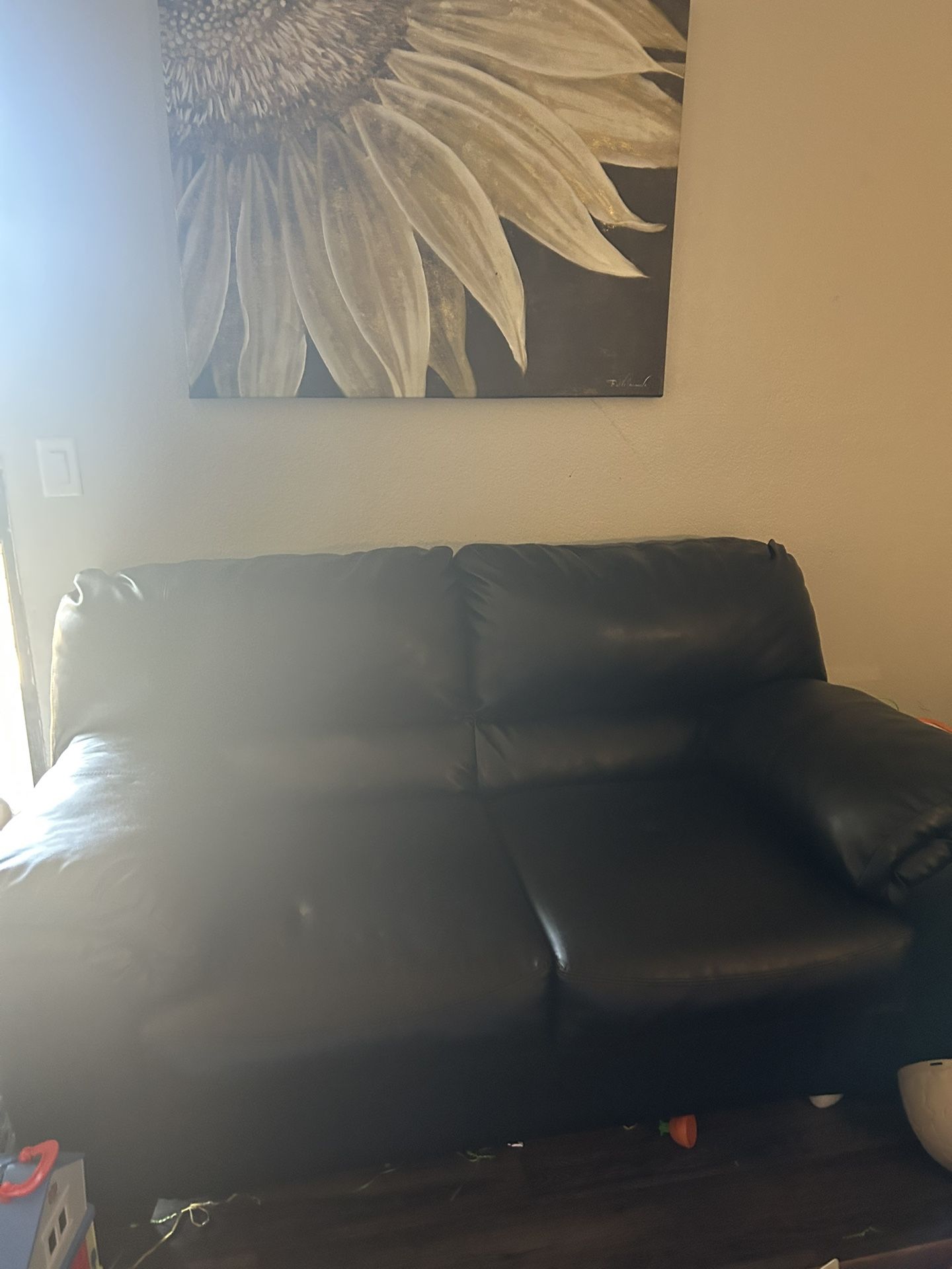 Black Leather Loveseat
