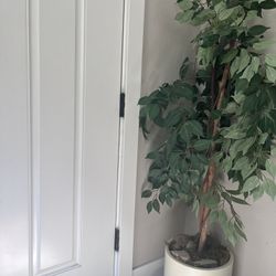 Artificial Plant 5 Feet 