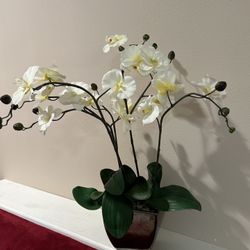 Fake Plant Orchid