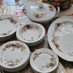 20

pcs Service Kyoto China Japan Pines Pattern Pine Cones Leaves

