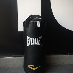 Everlast Boxing Bag