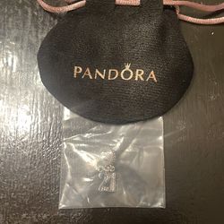 Pandora 21 charm