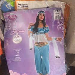Jasmine Costume Size Small 2-4