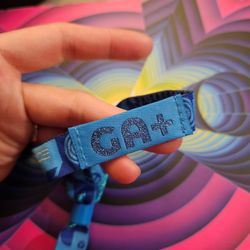 EDC GA+