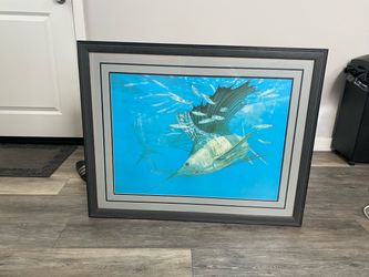 Picture in nice frame of marlin fish