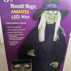 Halloween Decorations 