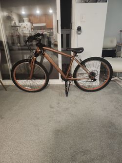 Copper Spray Painted Bike