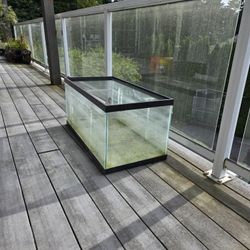40g Aquarium 