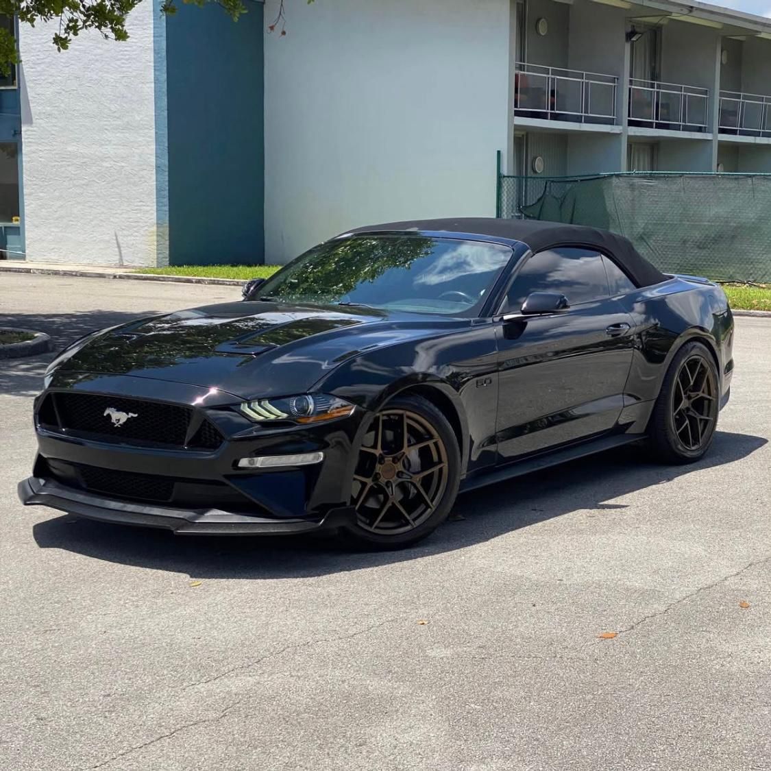 2019 Ford Mustang