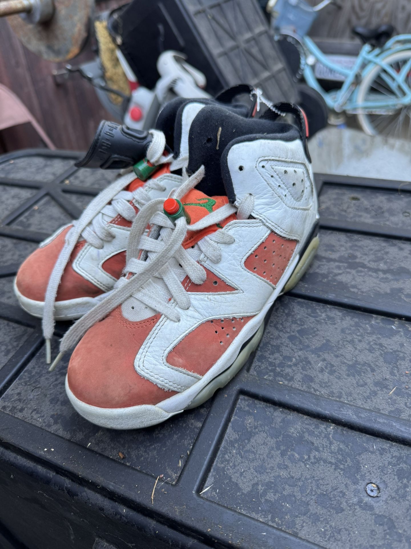 Jordan Gatorade 6βs π