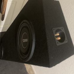 10” Subwoofer 