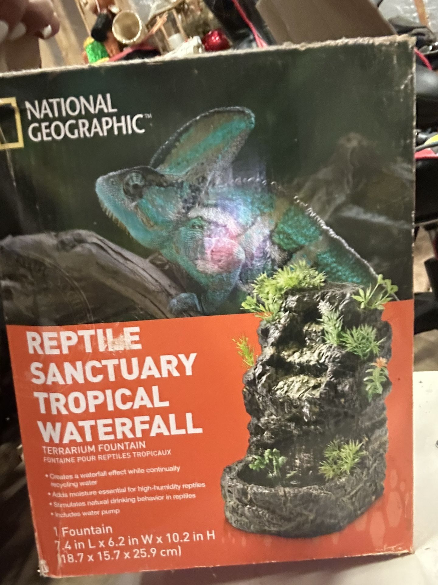 Reptile Sanctuary Waterfall