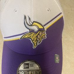 Minnesota Vikings Hat