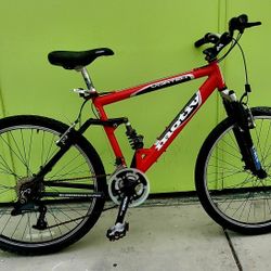 Time To Exercise Full Suspension 26n" Tires In Palm Springs 