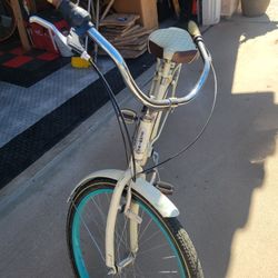 Schwinn Cruiser
