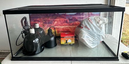 Bearded Dragon 36” Terrarium Complete Setup + Lights & Accessories