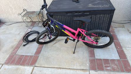 Nishki 20 inch mountain bike