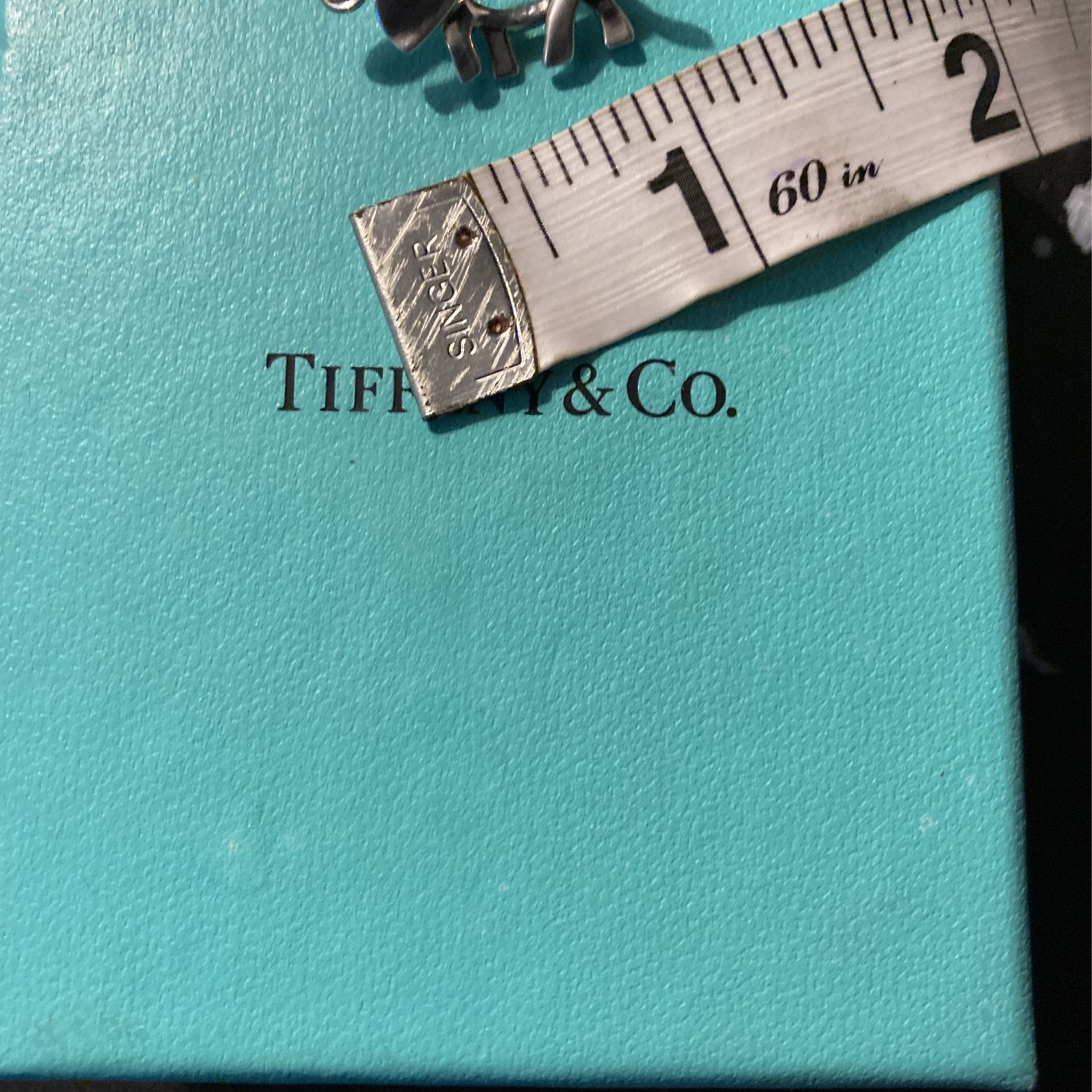 Elephant Brooch “Save the Wild” TIFFANY & CO.