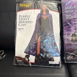 Halloween costumes midnight hour witch and purple velvet hooded cake