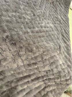 Comforter, shams and throw pillows