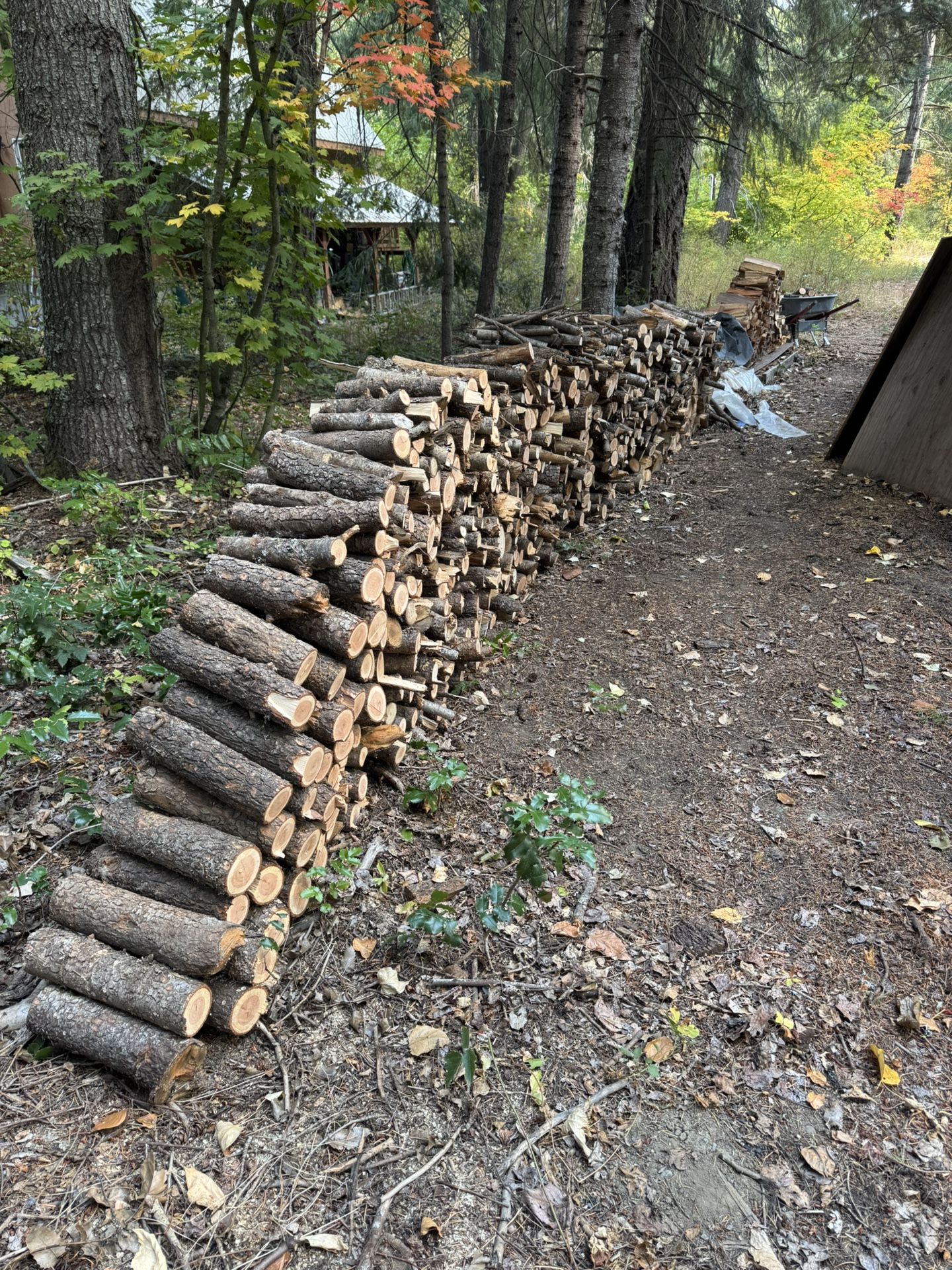 Seasoned firewood, 1/2 cord