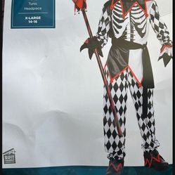 Jester Costume 