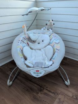 Fisher Price Baby Bouncer