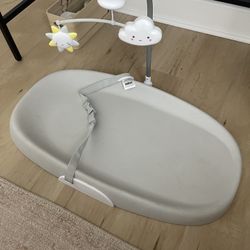 Skip Hop Changing Pad
