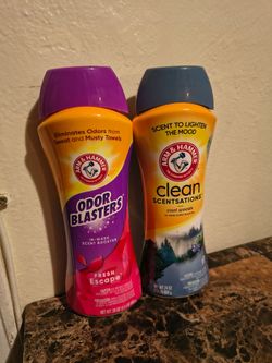 Arm & Hammer Clean Scentsations Cool Woods in-Wash Scent Laundry Booster