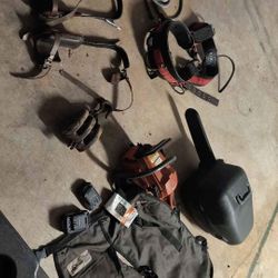Climbing Gear For Cutting Trees 