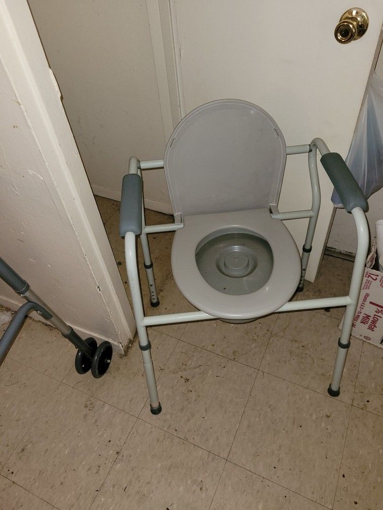 Potty Chair 