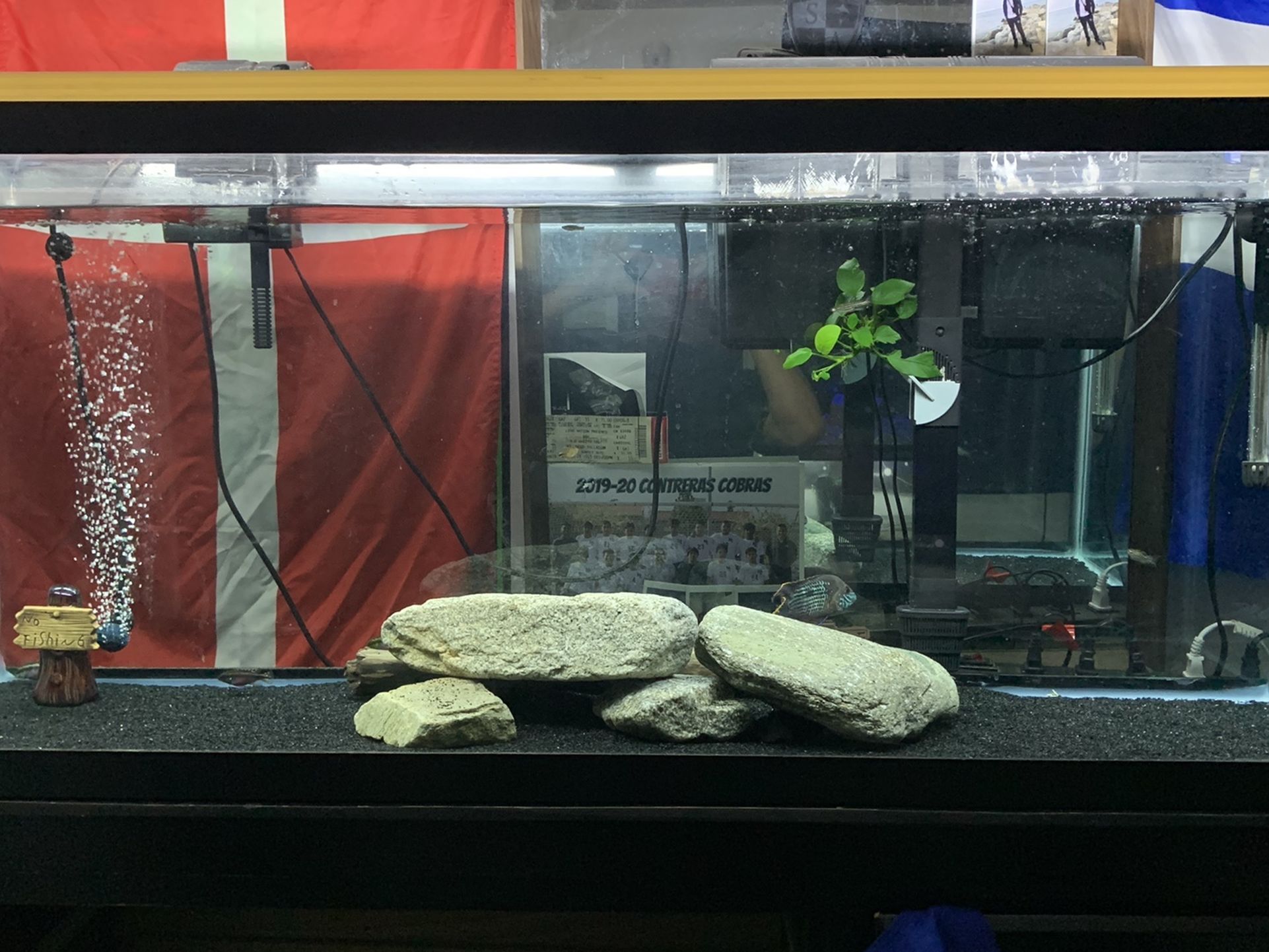 Fish Tank