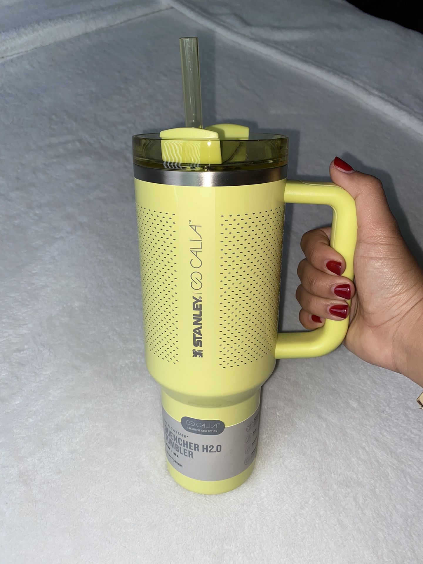 STANLEY 40 Oz. Stainless Steel Cup - Pale Green